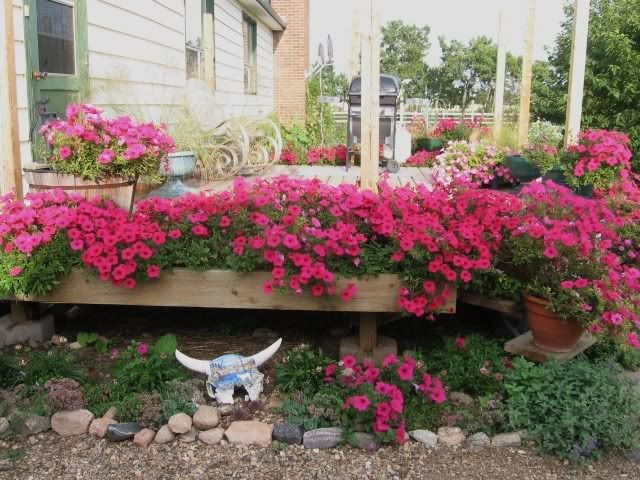 Photo Sharing and Video Hosting at Photobucket